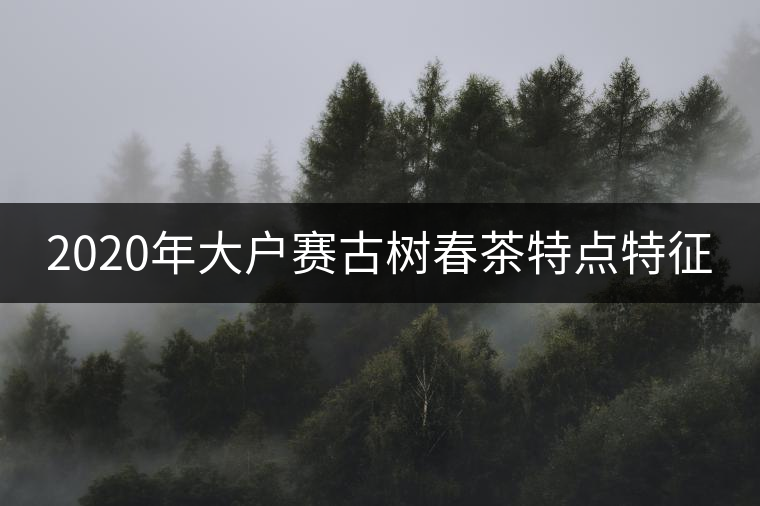 2020年大戶賽古樹春茶特點(diǎn)特征 2020年大戶賽古樹春茶特點(diǎn)特征