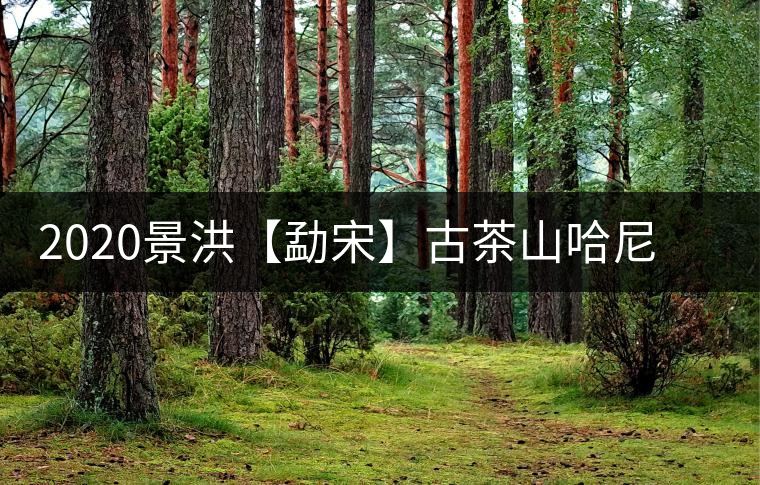 2020景洪【勐宋】古茶山哈尼年“嘎湯帕”圓滿(mǎn)結(jié)束,我們明年見(jiàn) 2020景洪【勐宋】古茶山哈尼年“嘎湯帕”圓滿(mǎn)結(jié)束,我們明年見(jiàn)