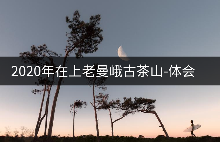 2020年在上老曼峨古茶山-體會(huì)人生 2020年在上老曼峨古茶山-體會(huì)人生