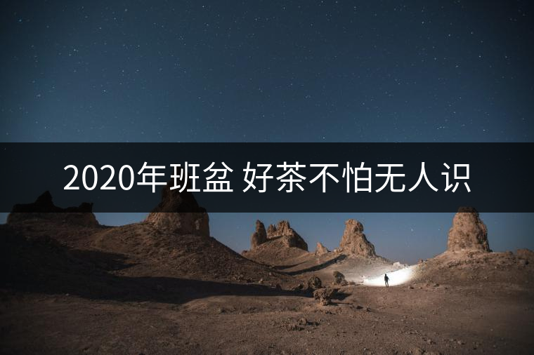2020年班盆 好茶不怕無人識(shí) 2020年班盆 好茶不怕無人識(shí)