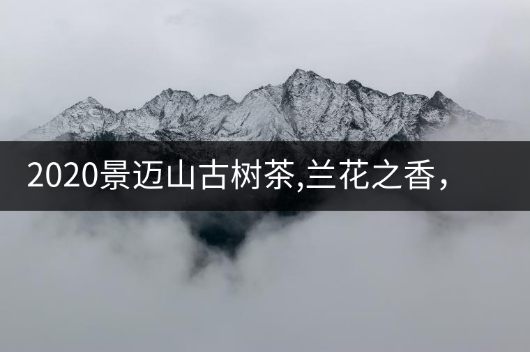 2020景邁山古樹茶,蘭花之香，自然之味