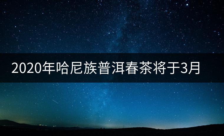 2020年哈尼族普洱春茶將于3月分開(kāi)采 2020年哈尼族普洱春茶將于3月分開(kāi)采