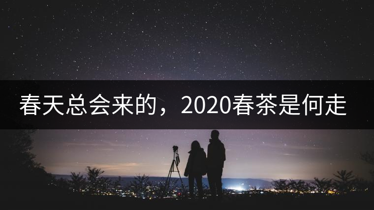 春天總會來的，2020春茶是何走勢？