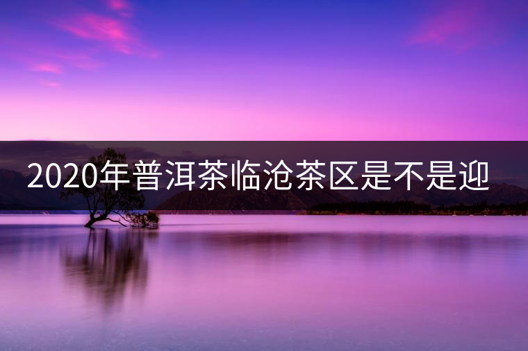 2020年普洱茶臨滄茶區(qū)是不是迎來最好機(jī)遇？