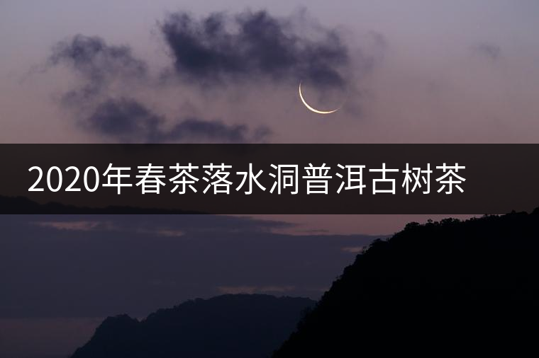 2020年春茶落水洞普洱古樹茶價格是多少錢一斤 2020年春茶落水洞普洱古樹茶價格是多少錢一斤
