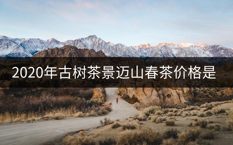 2020年古樹(shù)茶景邁山春茶價(jià)格是多少？