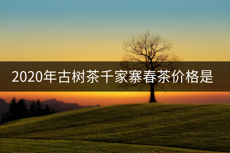 2020年古樹茶千家寨春茶價格是多少？