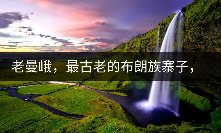 老曼峨，最古老的布朗族寨子，最極端的普洱茶