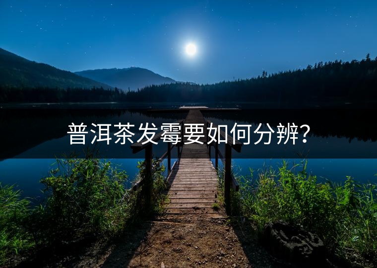 普洱茶發(fā)霉要如何分辨？