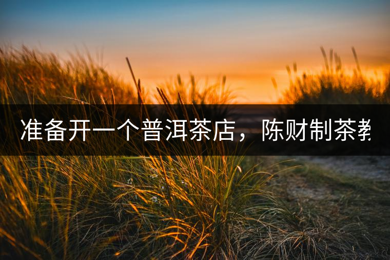 準(zhǔn)備開一個(gè)普洱茶店，陳財(cái)制茶教你怎么做！