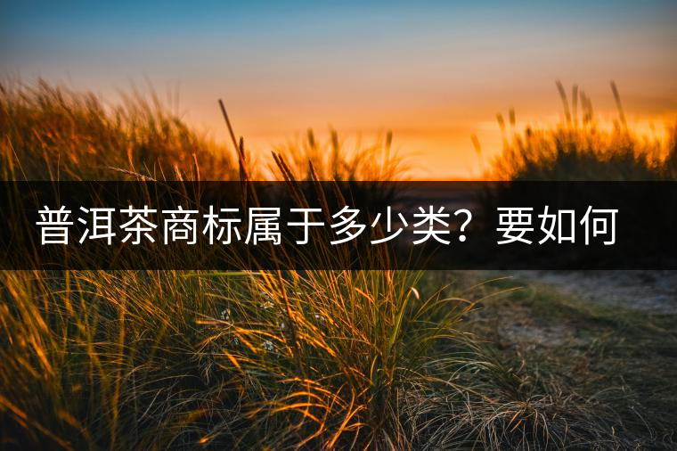 普洱茶商標(biāo)屬于多少類？要如何注冊