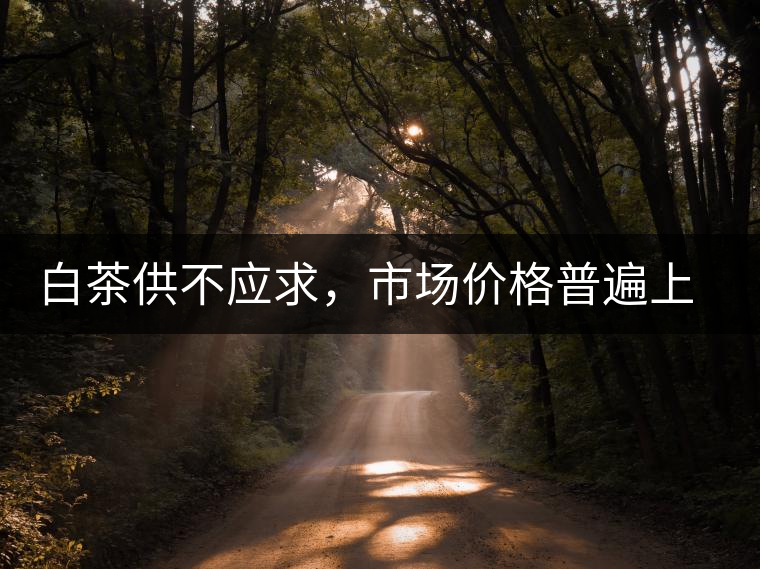 白茶供不應(yīng)求，市場價格普遍上漲？
