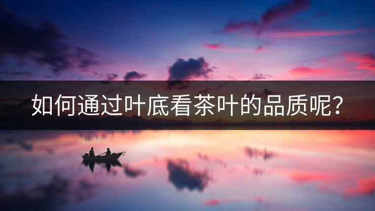 如何通過葉底看茶葉的品質(zhì)呢？