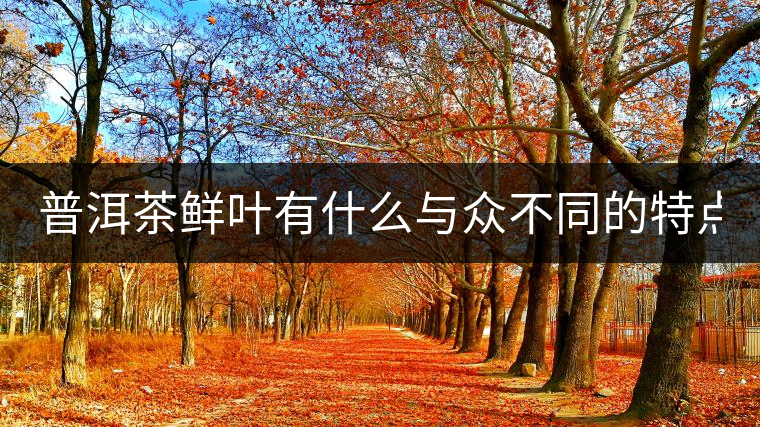 普洱茶鮮葉有什么與眾不同的特點(diǎn)? 普洱茶鮮葉有什么與眾不同的特點(diǎn)?