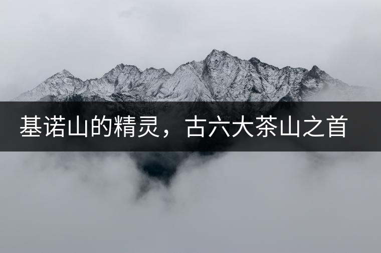 基諾山的精靈，古六大茶山之首武侯遺種攸樂(lè)古樹(shù)茶