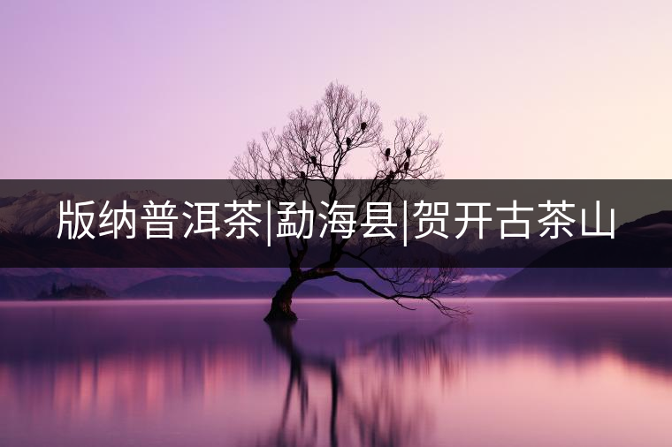 版納普洱茶|勐?？h|賀開古茶山