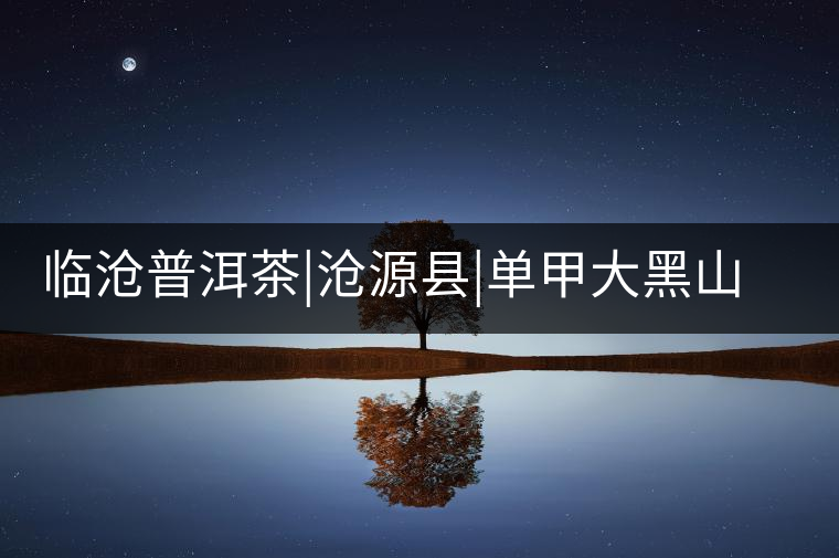 臨滄普洱茶|滄源縣|單甲大黑山古茶園