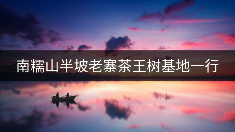 南糯山半坡老寨茶王樹(shù)基地一行 南糯山半坡老寨茶王樹(shù)基地一行