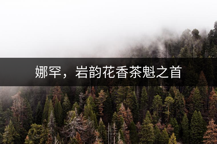 娜罕，巖韻花香茶魁之首