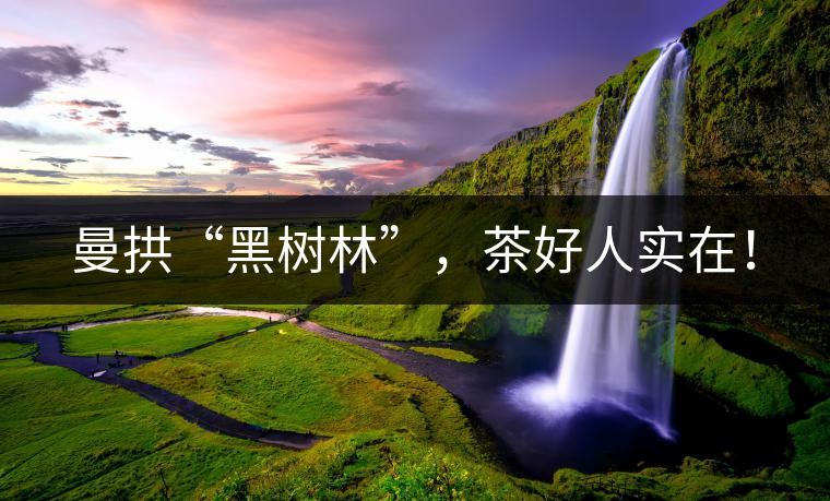 曼拱“黑樹(shù)林”，茶好人實(shí)在！