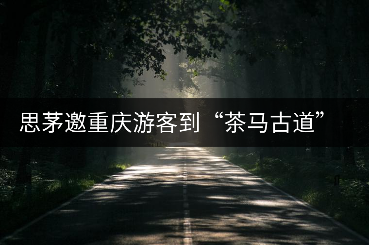 思茅邀重慶游客到“茶馬古道”體驗茶文化感受民族風(fēng)情 思茅邀重慶游客到“茶馬古道”體驗茶文化感受民族風(fēng)情