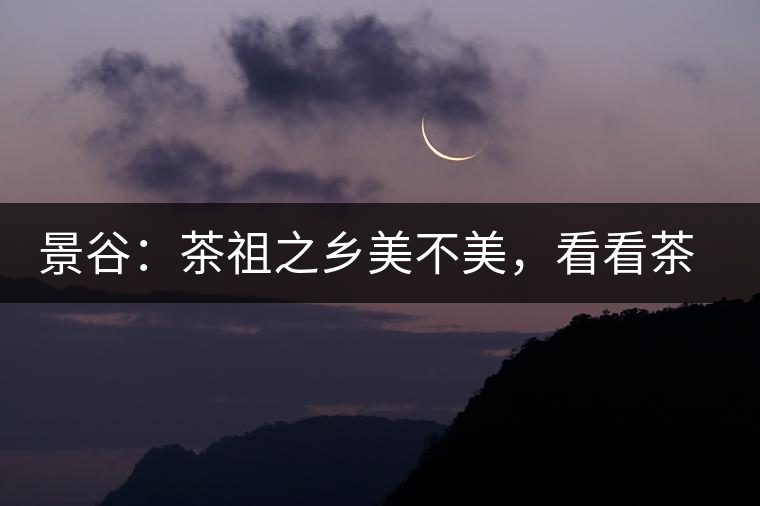 景谷：茶祖之鄉(xiāng)美不美，看看茶山和美人