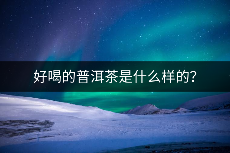 好喝的普洱茶是什么樣的？