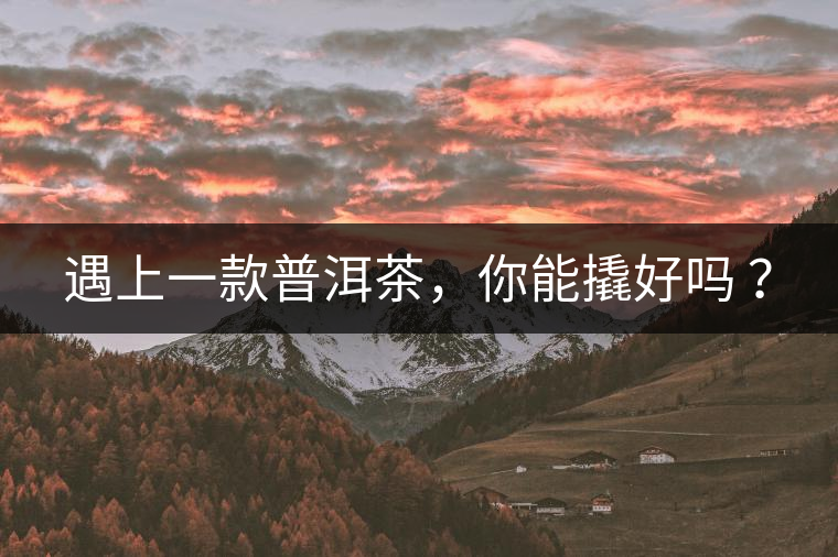 遇上一款普洱茶，你能撬好嗎 ？