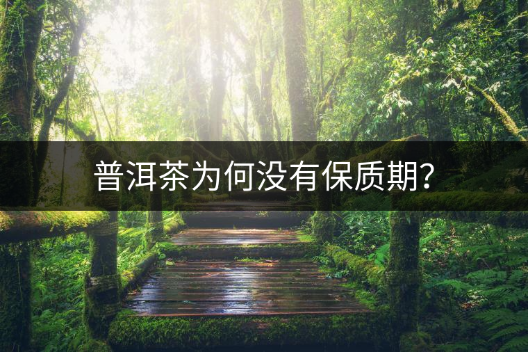 普洱茶為何沒有保質(zhì)期？