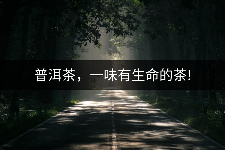 普洱茶，一味有生命的茶!