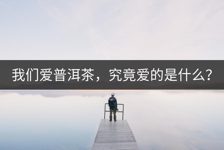 我們愛普洱茶，究竟愛的是什么？