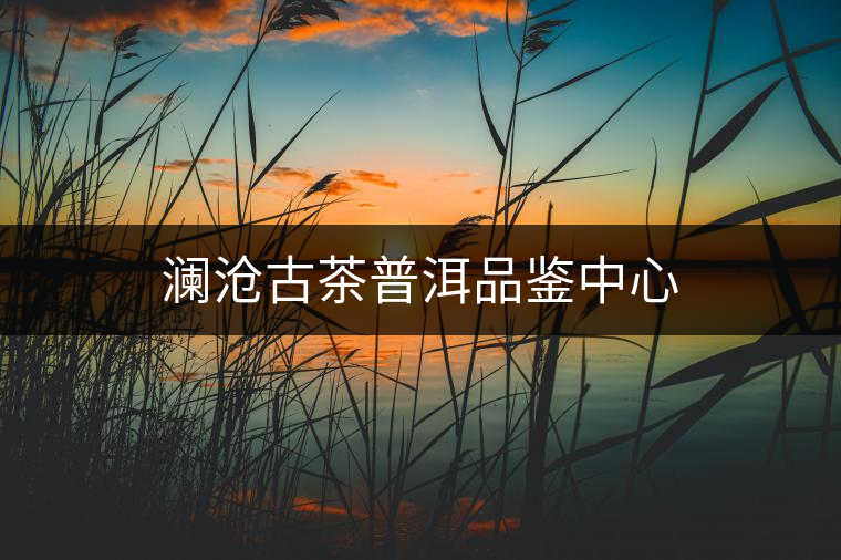 瀾滄古茶普洱品鑒中心 瀾滄古茶普洱品鑒中心