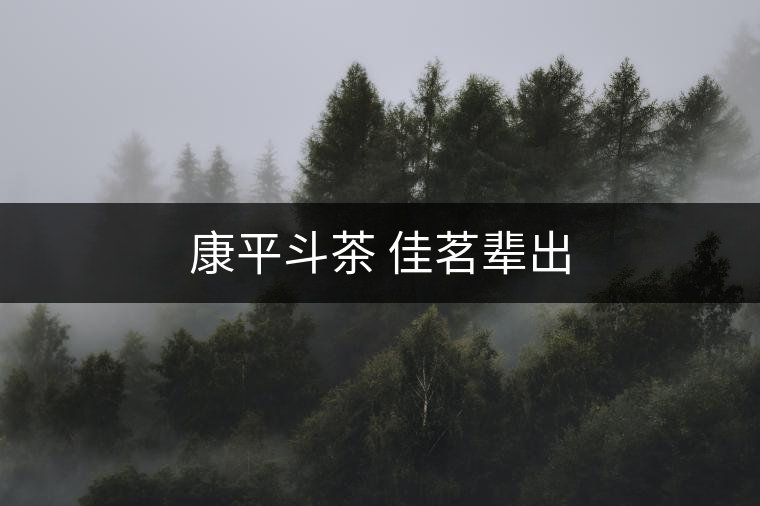 康平斗茶 佳茗輩出 康平斗茶 佳茗輩出