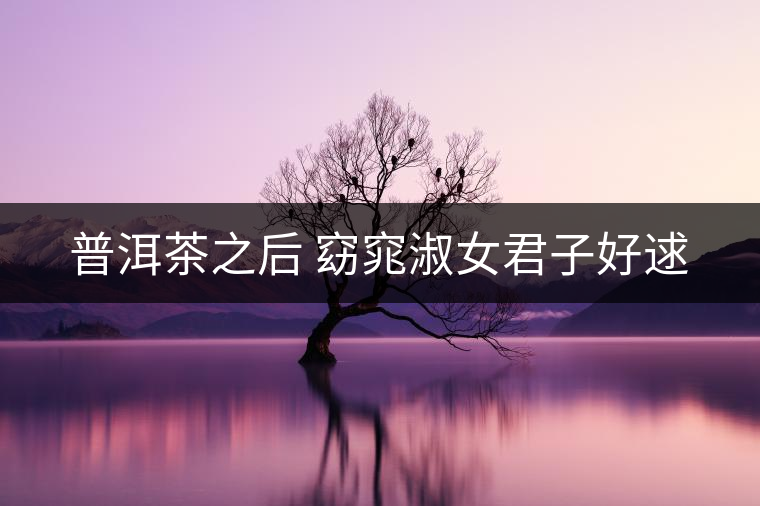 普洱茶之后 窈窕淑女君子好逑 普洱茶之后 窈窕淑女君子好逑