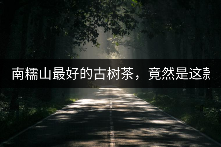 南糯山最好的古樹茶，竟然是這款！