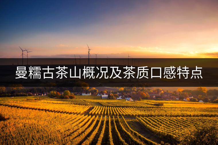 曼糯古茶山概況及茶質(zhì)口感特點(diǎn)