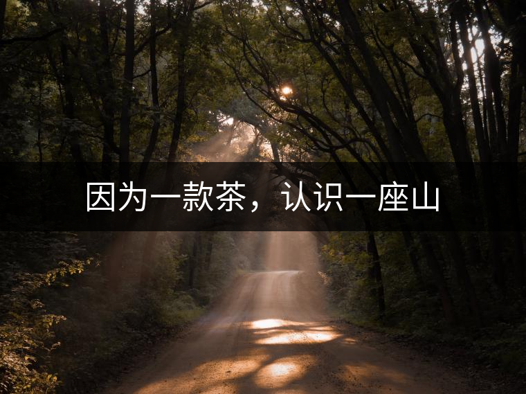 因?yàn)橐豢畈?，認(rèn)識(shí)一座山