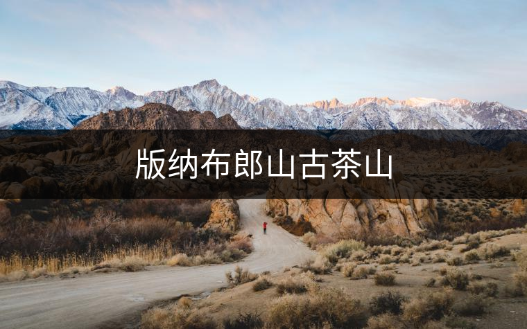 版納布郎山古茶山 版納布郎山古茶山