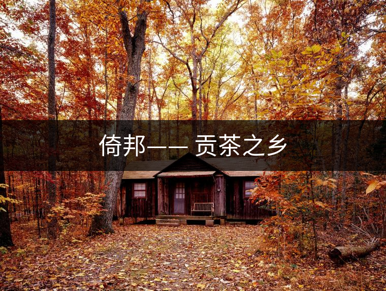 倚邦—— 貢茶之鄉(xiāng)