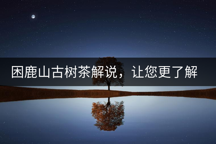 困鹿山古樹茶解說，讓您更了解古樹貢茶