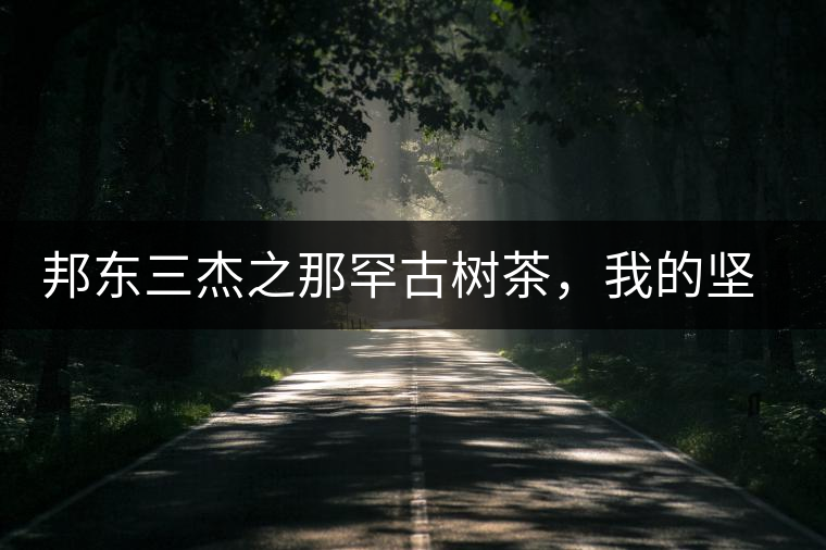 邦東三杰之那罕古樹(shù)茶，我的堅(jiān)持