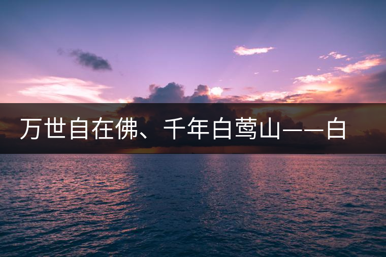 萬(wàn)世自在佛、千年白鶯山——白鶯山古樹(shù)茶特點(diǎn)