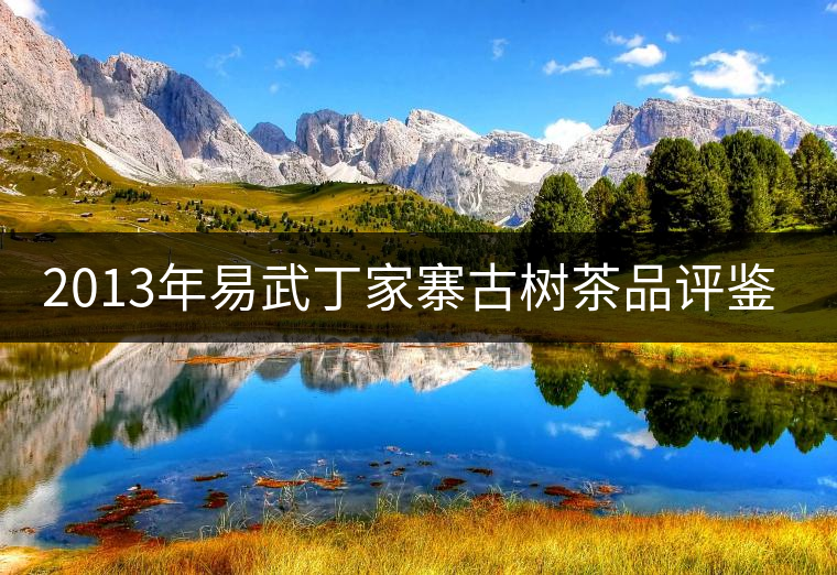 2013年易武丁家寨古樹(shù)茶品評(píng)鑒賞 2013年易武丁家寨古樹(shù)茶品評(píng)鑒賞