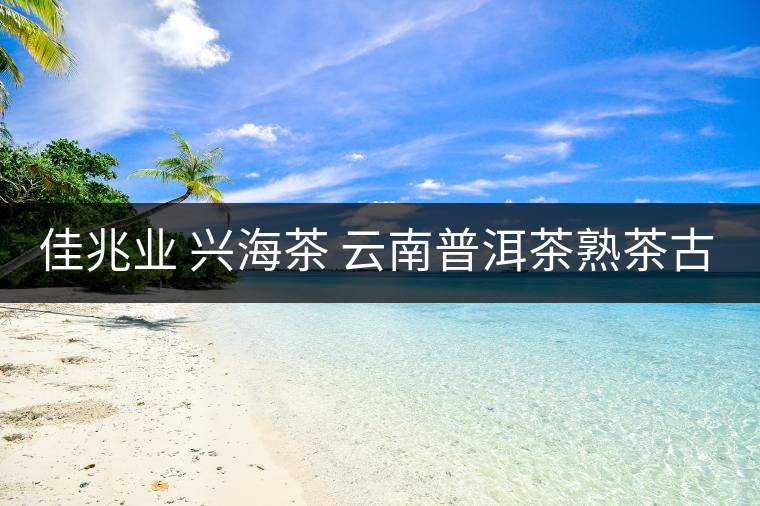 佳兆業(yè) 興海茶 云南普洱茶熟茶古樹(shù)小沱茶勐海茶葉小粒裝60g