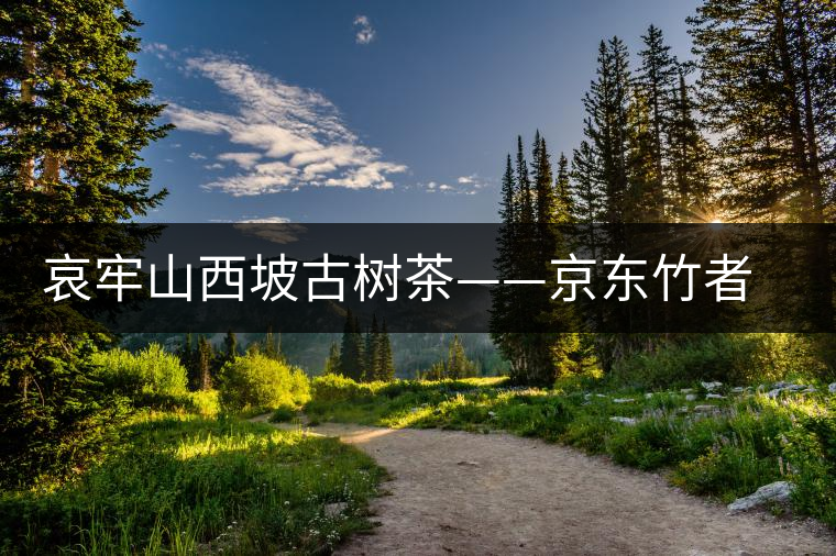 哀牢山西坡古樹茶——京東竹者村古樹茶特點(diǎn) 哀牢山西坡古樹茶——京東竹者村古樹茶特點(diǎn)