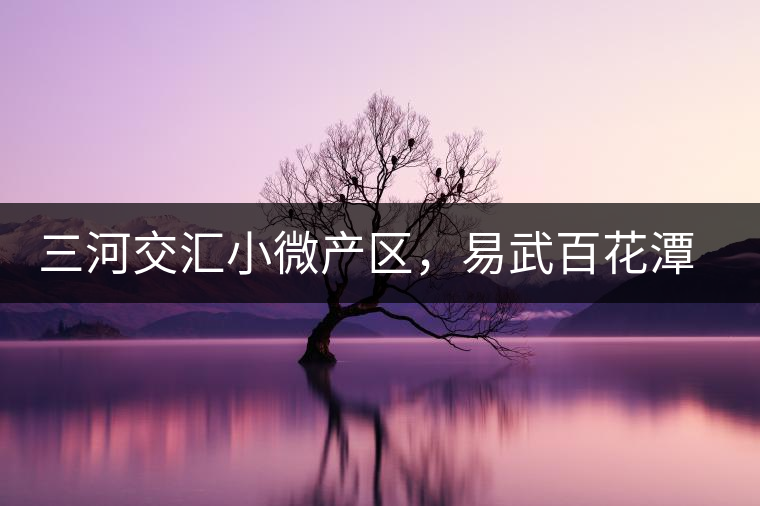 三河交匯小微產(chǎn)區(qū)，易武百花潭古茶園介紹