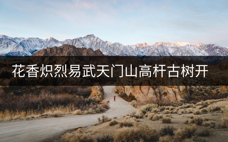 花香熾烈易武天門山高桿古樹開湯鑒賞