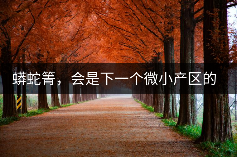 蟒蛇箐，會是下一個微小產(chǎn)區(qū)的熱門山頭嗎？