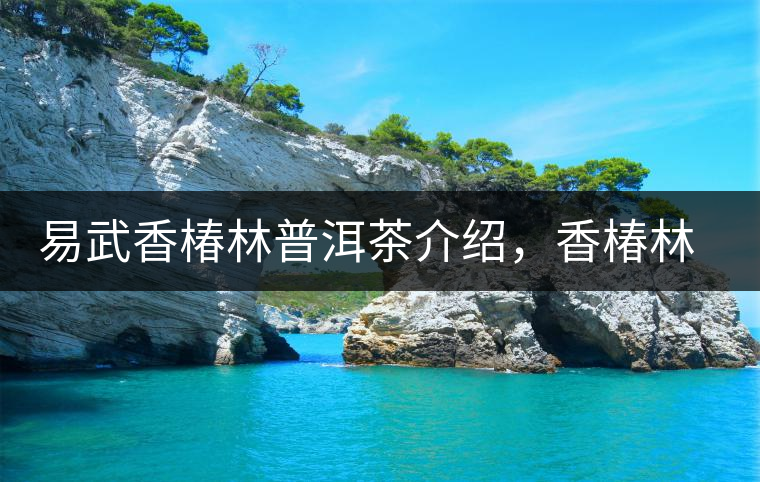 易武香椿林普洱茶介紹，香椿林古樹茶口感特點