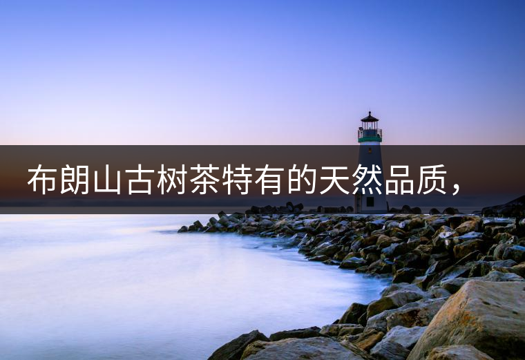 布朗山古樹茶特有的天然品質(zhì)，給健康生活保駕護(hù)航